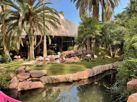 Flamingo Wildlife Habitat