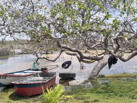 Povoado de Cardosa