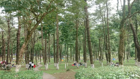 Vuon Quoc Gia Ba Vi