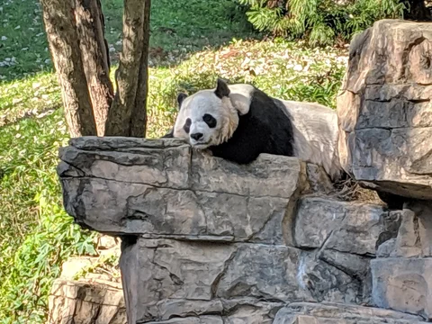 Smithsonian National Zoological Park