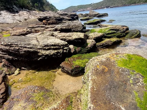 Parque Estadual da Costa do Sol