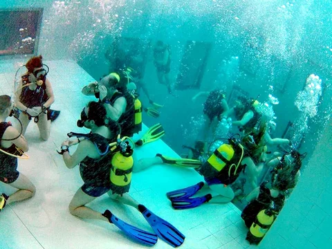 NEMO33