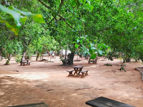 Parque Estadual Dunas de Natal