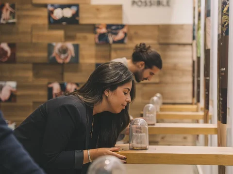 The Chocolate Story