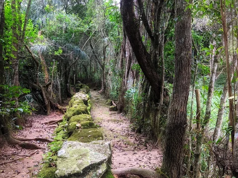 Bosque Mae d Agua