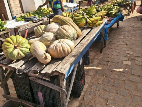 Feira de Artesanato de São Miguel do Gostoso