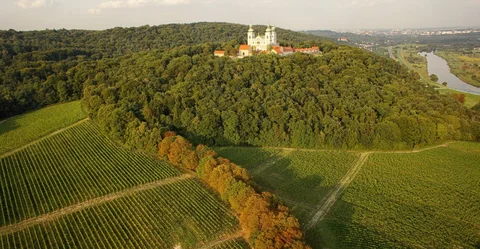 Winnica Srebrna Gora