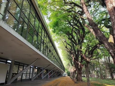 Museu Afro Brasil