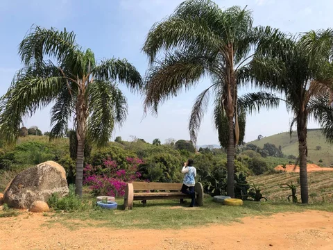 Fazenda 7 Senhoras