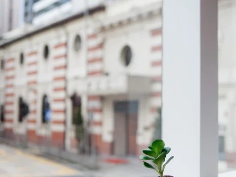 Mini Central