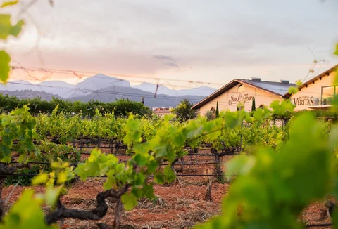 Bodegas José L. Ferrer
