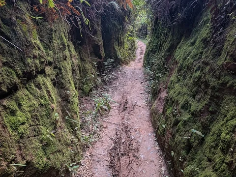 Trilha do Mangue na Serra de São José
