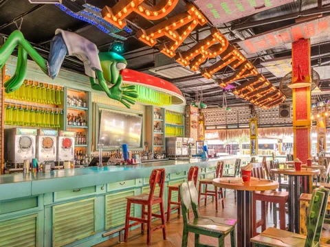 Senor Frogs Cancun