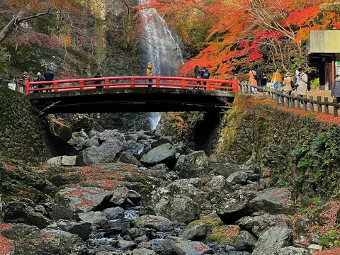 Minoh Mountain Backcountry Trail