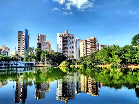 Bosque dos Buritis