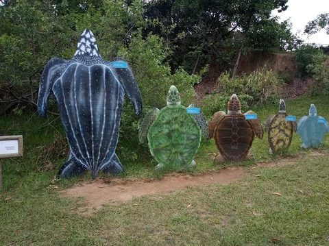 Centro de Visitacao Projeto Tamar Vitoria