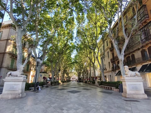 Passeig des Born