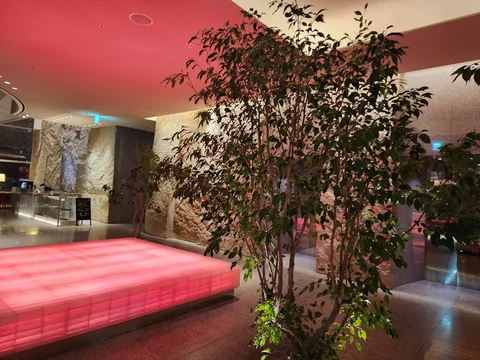 Dining Room Park Hyatt Busan