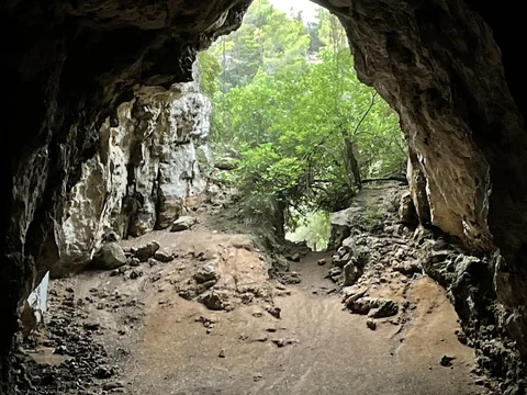 Cova des Coloms