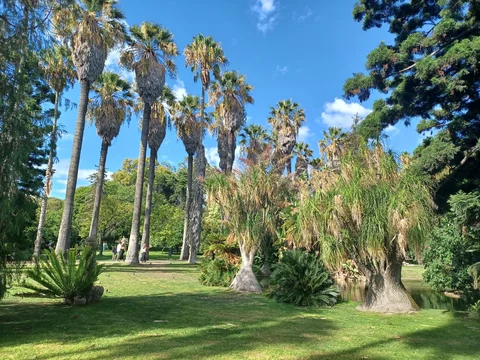Jardim Botanico Tropical