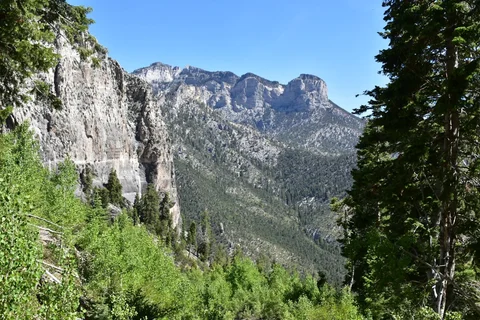 Cathedral Rock Trail