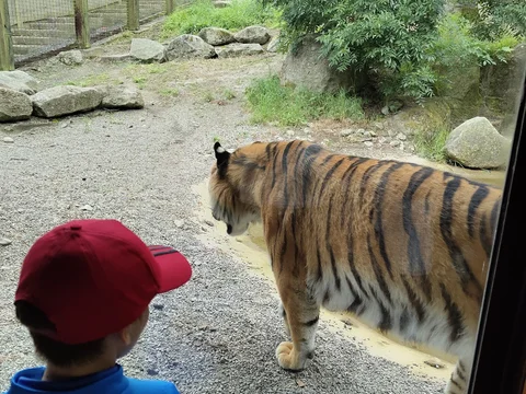 Dublin Zoo