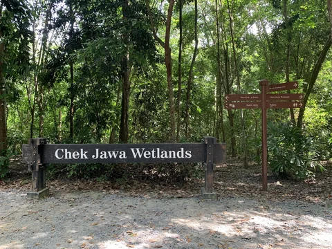 Chek Jawa Wetlands