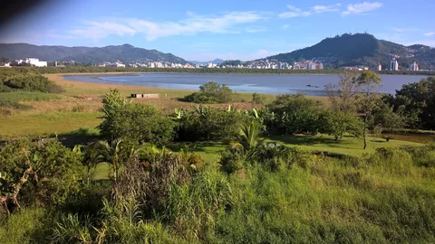Manguezal do Rio Cachoeira