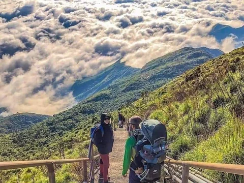 Pico da Caledonia