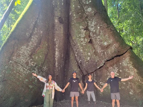 Trilha das Sumaumas da Floresta Nacional do Tapajos