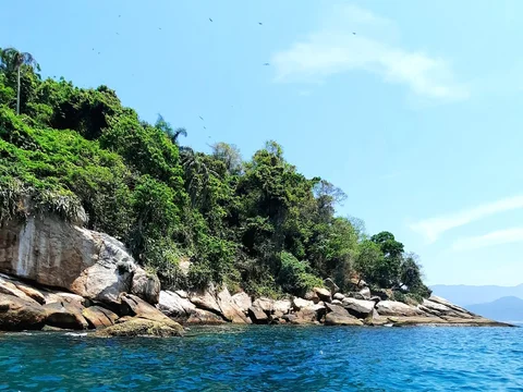 Ilha de Jorge Grego