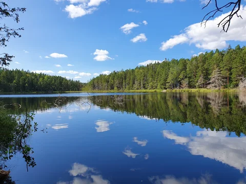 Tyresta Nationalpark
