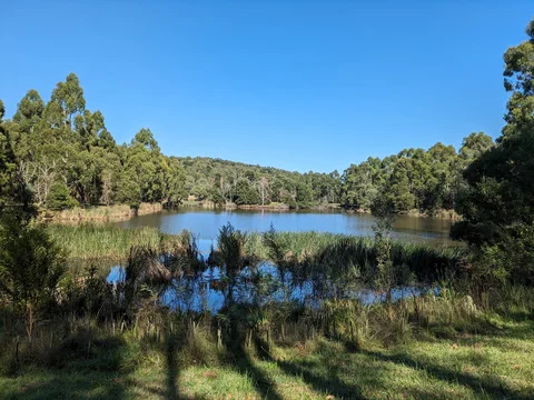 Birdsland Reserve