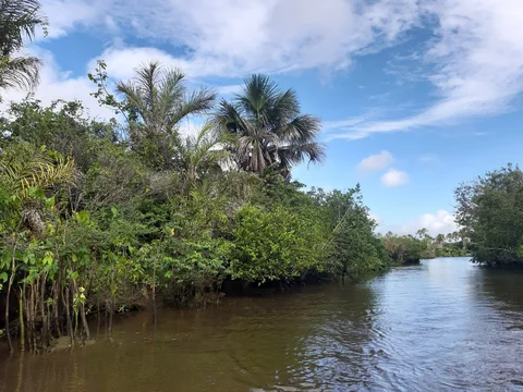 Rio Preguiças