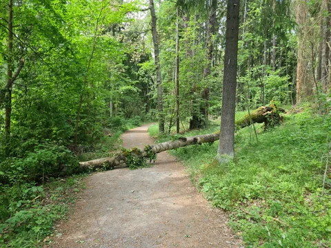 Kungliga Nationalstadsparken