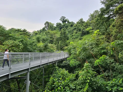 Southern Ridges
