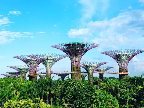 Gardens by the Bay