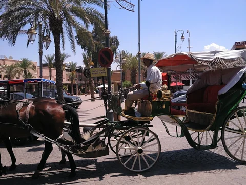 Earth Cafe Marrakech
