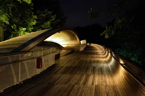 Southern Ridges Henderson Waves