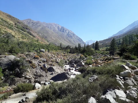 Santuario de la Naturaleza Yerba Loca