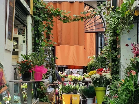 Mercado de Feria