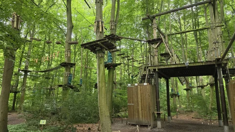 Fun Forest Amsterdam
