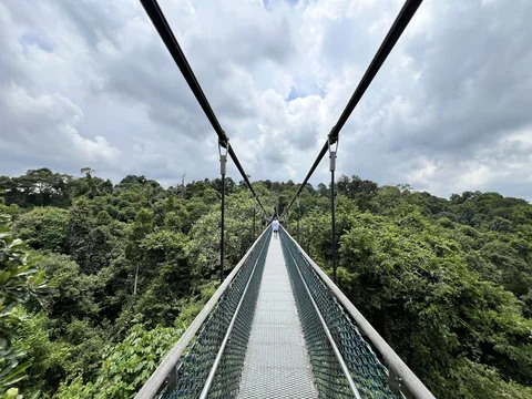 MacRitchie Reservoir TreeTop Walk