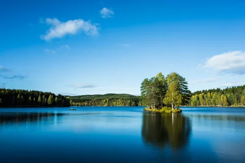 Sognsvann