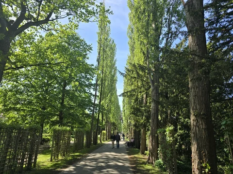 Assistens Kirkegard