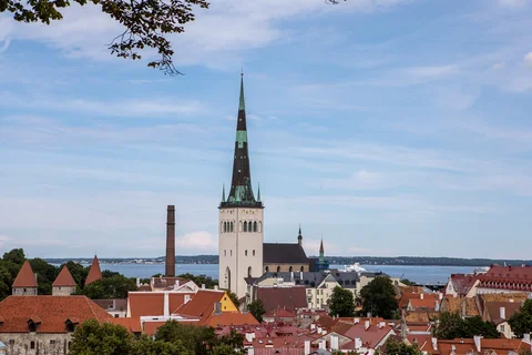 Kohtuotsa vaateplatvorm