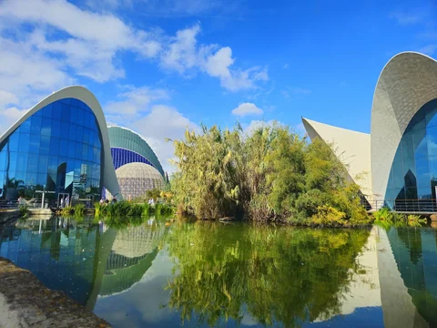 Oceanogràfic de València